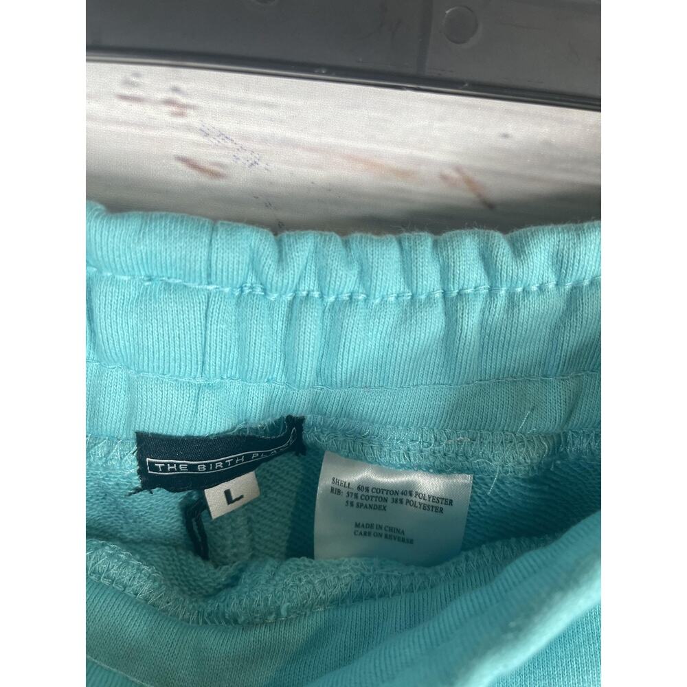 The Birth Place Hoodie Sweatpants Set Mens Large Blue White 24/7 365 Florida USA - Picture 10 of 12